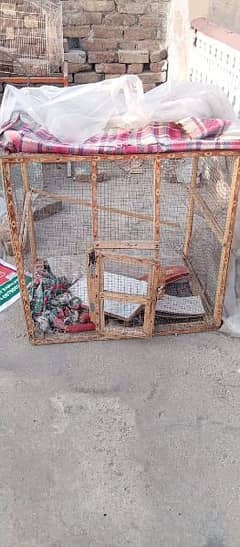 Woden cage for Australian parrot and finches and coctail colony