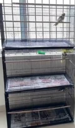 1.5 feet by 2.5 feet cage for all birds hens,parrot,pigeon and etc