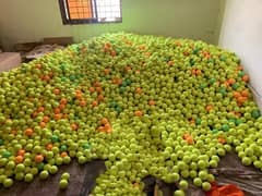 Cricket Balls  |  Tennis Balls  |  Rubber Balls