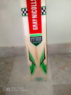 Gray Nicolls hard ball bat