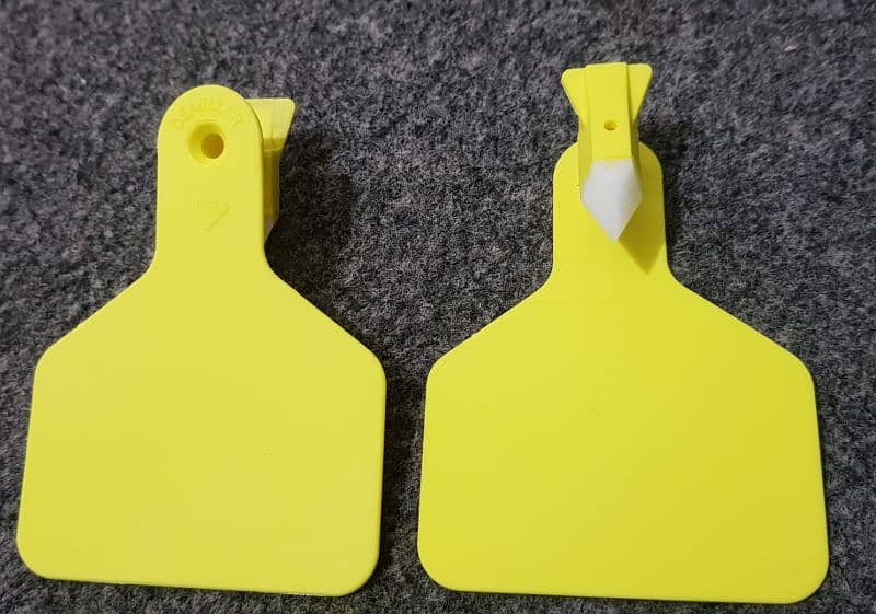 Animal Ear Tags | Cattel Tags | GPS Ear Tags For Cattle | 3