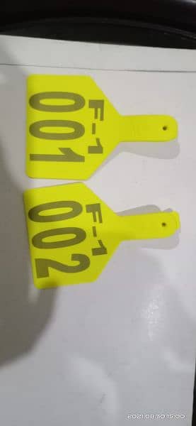 Animal Ear Tags | Cattel Tags | GPS Ear Tags For Cattle | 7