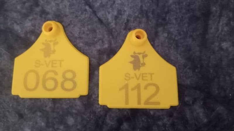 Animal Ear Tags | Cattel Tags | GPS Ear Tags For Cattle | 13