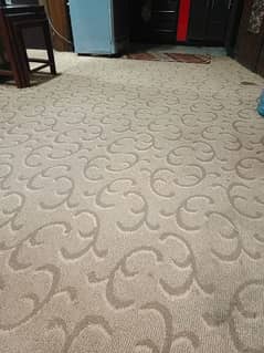 carpet