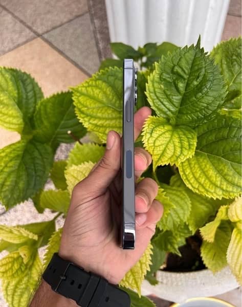 iPhone XR to 13 pro converted original body available 1