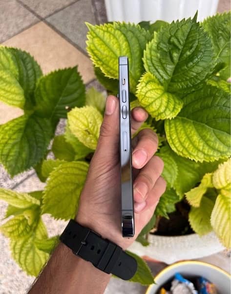 iPhone XR to 13 pro converted original body available 2