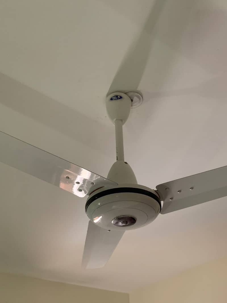 Pak Ceiling Fans for Immediate Sale 0