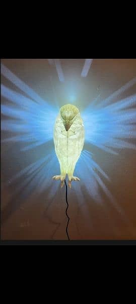 Eagle wings projector 0