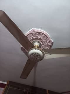 Ceiling Fan For Sale in good condition