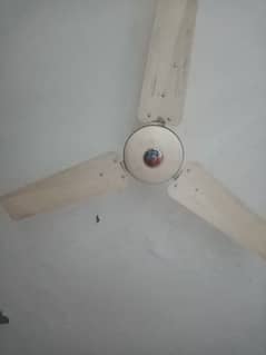 white colour ceiling ac branded pak fan