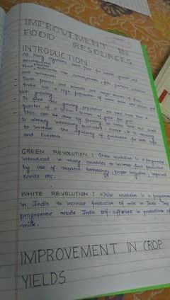 Handwriting assignment work