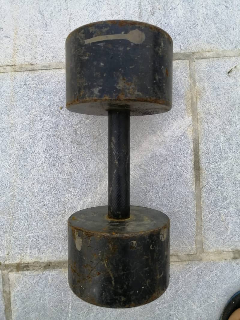 16kg Dumbbell (Single) 1