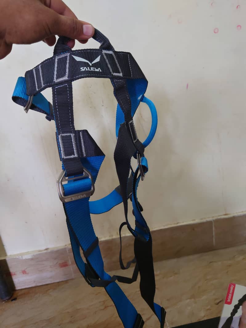 full body harness 2