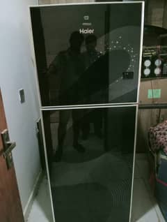 Haier Glass Door fridge