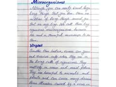 handwriting assignment work