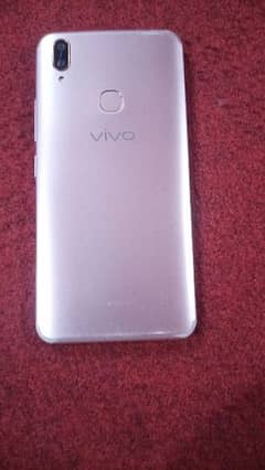 vivo