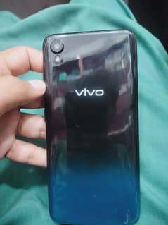 vivo