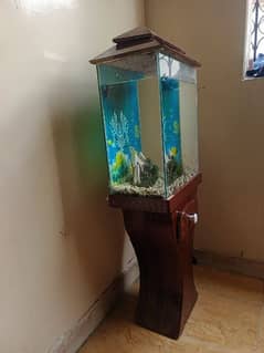 2 foot aquarium with stand