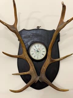 Deer Stag Horns (Antlers) | Antique | Wall Hanging | Clock