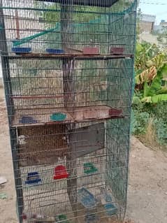wood cage & Iran cage for sell