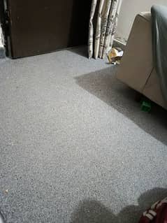 grey carpet for sale