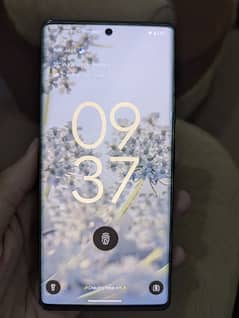 Google pixel 6 pro (factory unlock)