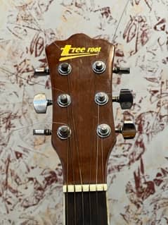 Tree Root Semi Acoustic Guitar