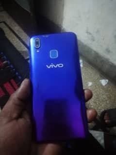 vivo