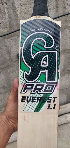 CA pro hardball bat