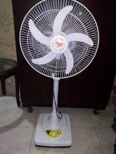 Fan