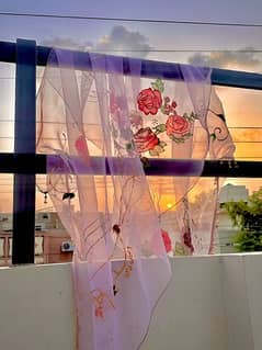 Organza Dupatta handpainted silk paints