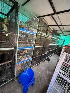 Cages for sale