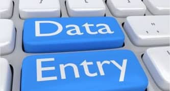Data Entry and Data Fetcher