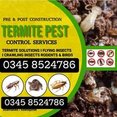 Pest Control/Termite deemak Control/Mosquito Spray/Fumigation