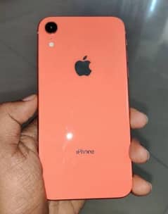 iPhone XR orange non pta 64 Jb