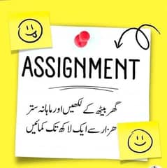 data entry, typing and hand written assignment work available