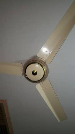 Copper Ceiling fans full size