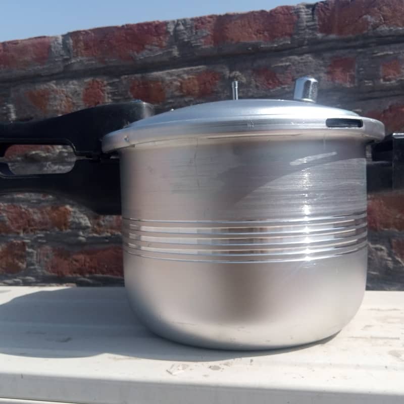 Pressure cooker export quality, fast food processing 1