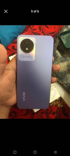 Vivo