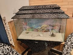 Fish Aquarium/Aquarium/Fish Tank