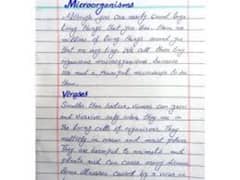 hand writing assignment