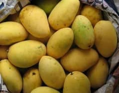 250 per kg - Fresh Export Quality White Chunsa Mango For Sale