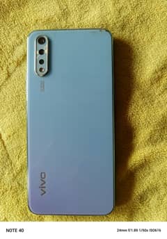 vivo