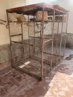cage for hens and birds