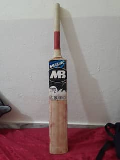 cricket hard ball bat