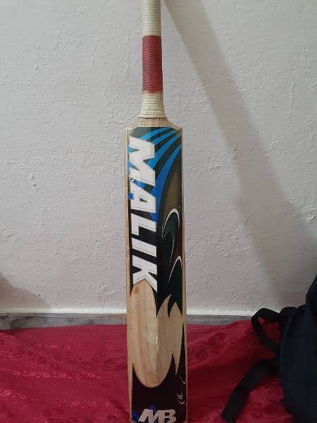 cricket hard ball bat 1