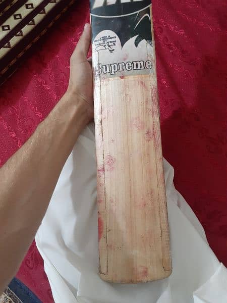 cricket hard ball bat 2