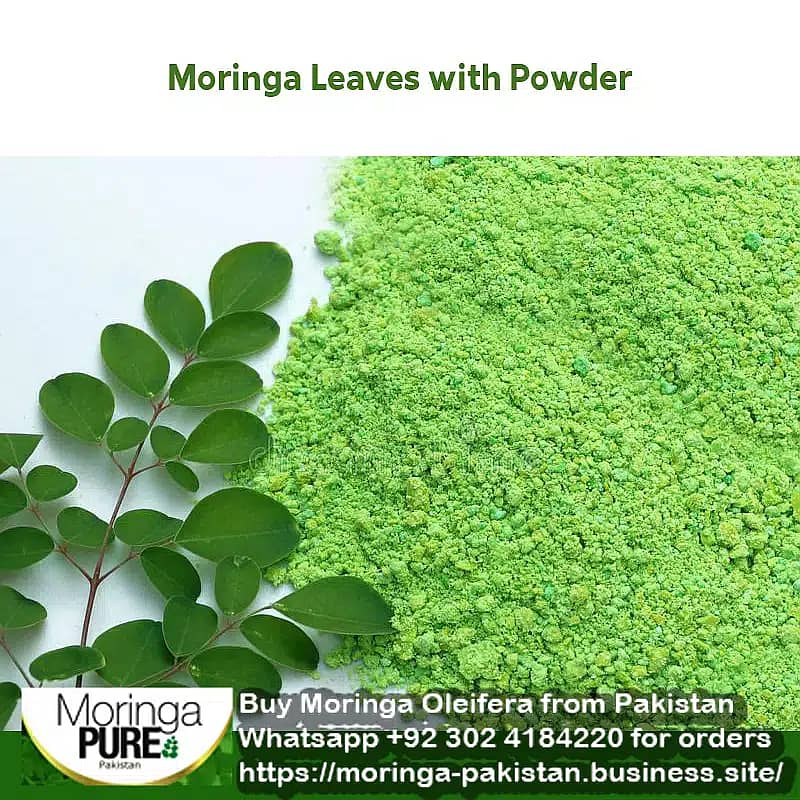 Moringa Powder Pakistan (Best Sale 2024): Fresh Moringa Oleifera 1