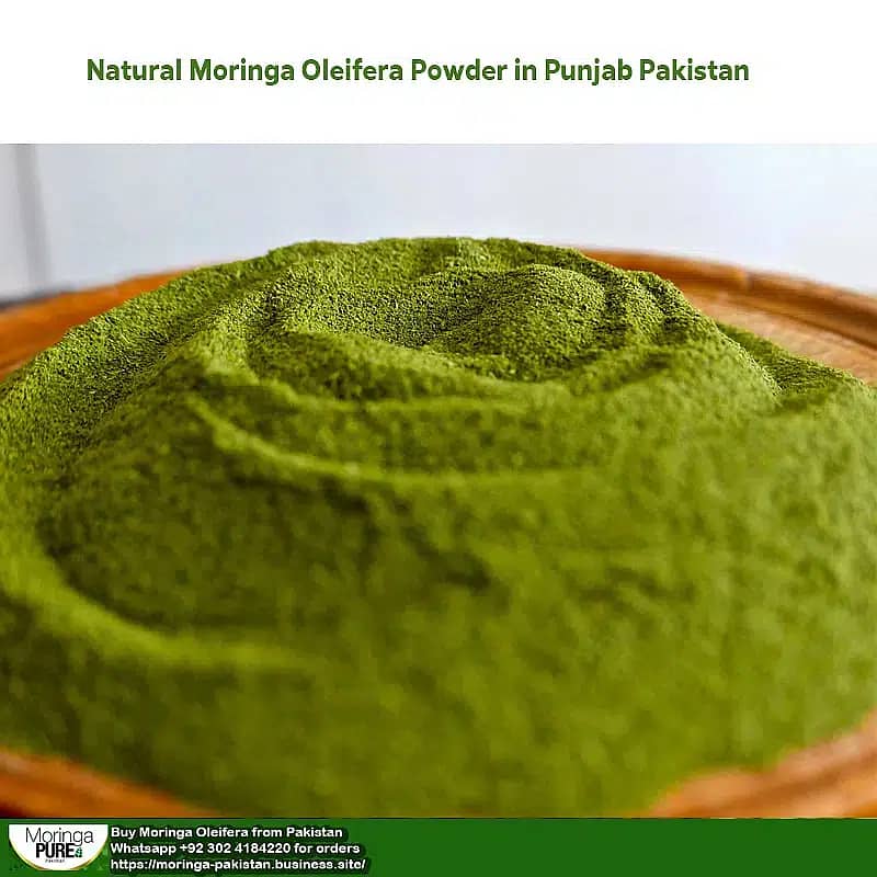 Moringa Powder Pakistan (Best Sale 2024): Fresh Moringa Oleifera 2