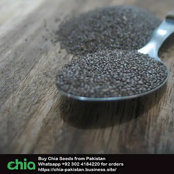 ORGANIC BLACK ​CHIA SEEDS LAHORE KARACHI PAKISTAN — photo 3